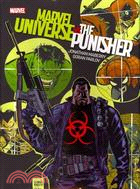 Marvel Universe Vs. the Punisher