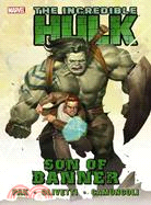The Incredible Hulk 1: Son of Banner