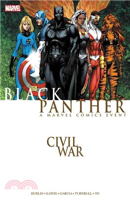 Civil War ─ Black Panther