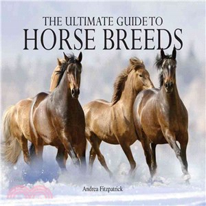 Ultimate Guide to Horse Breeds