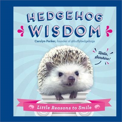 Hedgehog Wisdom ― Little Reasons to Smile