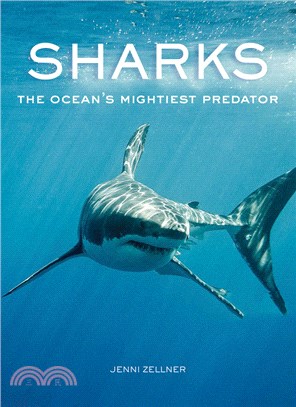 Sharks ― The Ocean's Mightiest Predator