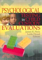 Psychological Testing In Child Custody Evaluations