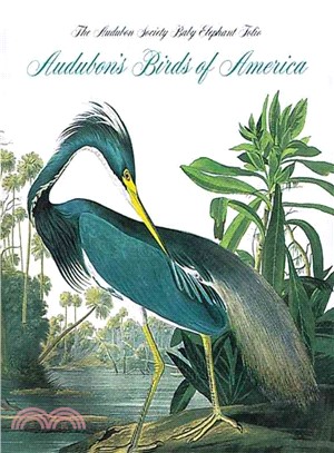 Audubon's Birds Of America