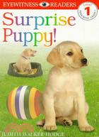 Surprise Puppy