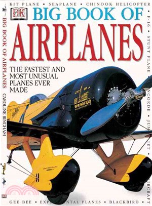 Big Book of Airplanes