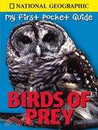 My First Pocket Guide Birds of Prey