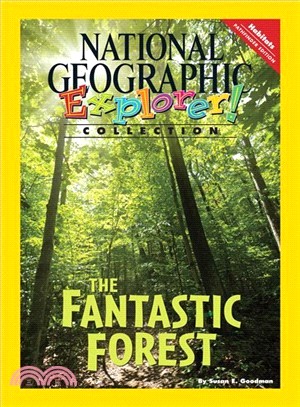 The fantastic forest