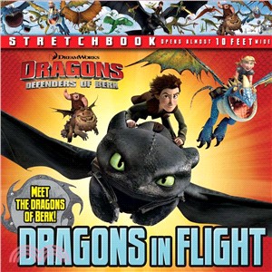 DreamWorks Defenders of Berk: Dragons in Flight Stretchbook