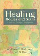 Healing Bodies and Souls: A Practical Guide for Congregations