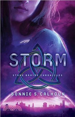 Storm :a novel /