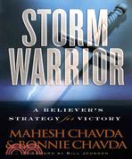 Storm Warrior: A Believer's Strategy for Victory