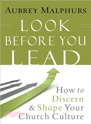 Look Before You Lead—How to Discern and Shape Your Church Culture