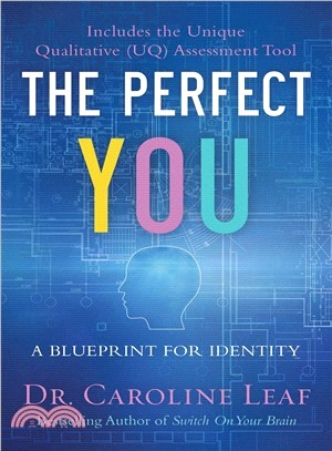 The Perfect You ― A Blueprint for Identity