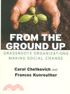 From the Ground Up ─ Grassroots Organizations Making Social Change