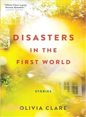 Disasters in the First World ─ Stories