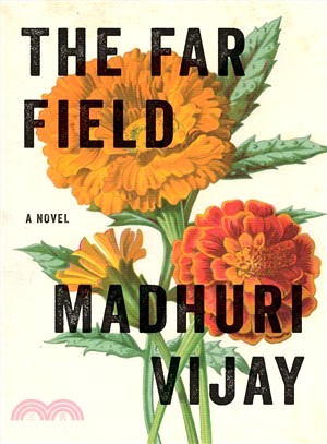 The far field :a novel /