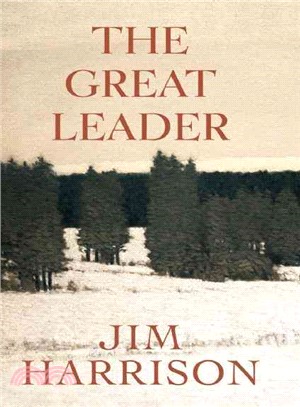 The Great Leader ─ A Faux Mystery