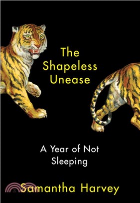 The Shapeless Unease ― A Year of Not Sleeping