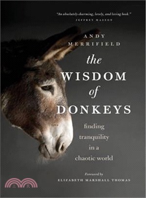 The Wisdom of Donkeys ─ Finding Tranquility in a Chaotic World