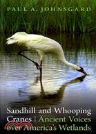 Sandhill and Whooping Cranes: Ancient Voices over America's Wetlands