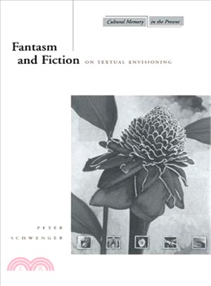 Fantasm and Fiction ─ On Textual Envisioning