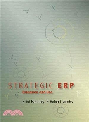 Strategic Erp Extension And Use
