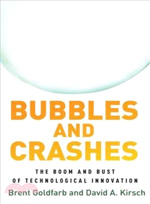 Bubbles and Crashes ― The Boom and Bust of Technological Innovation