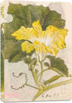 Japanese Squash Blossom Lined Paperback Journal：Blank Notebook with Pocket