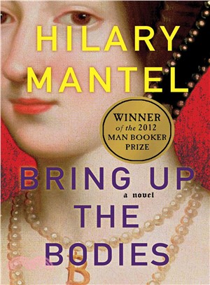 Bring up the bodies :a novel...