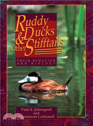 Ruddy Ducks & Other Stifftails: Their Behavior and Biology