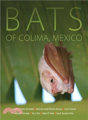 Bats of Colima, Mexico