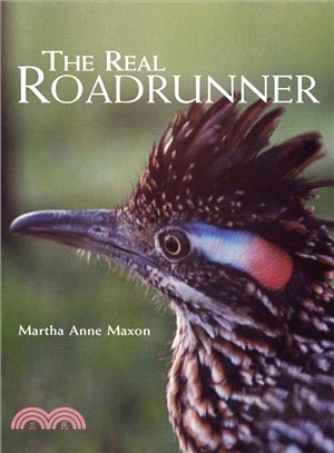 The Real Roadrunner