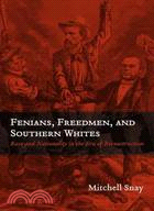Fenians, Freedmen, and Southern Whites: Race and Nationality in the Era of Reconstruction