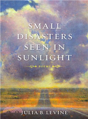 Small Disasters Seen in Sunlight ― Poems