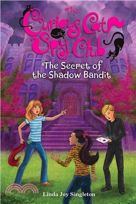 The Secret of the Shadow Bandit