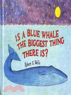 Is a Blue Whale the Biggest Thing There Is?