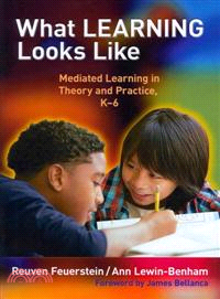 What Learning Looks Like ─ Mediated Learning in Theory and Practice, K-6