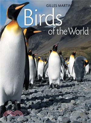 Birds Of The World