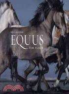 Equus 2011 Calendar