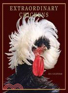 Extraordinary Chickens 2011 Calendar