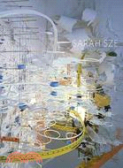 Sarah Sze