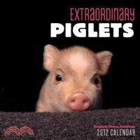 Extraordinary Piglets 2012 Calendar