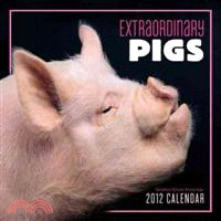 Extraordinary Pigs 2012 Calendar