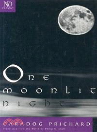 One Moonlit Night