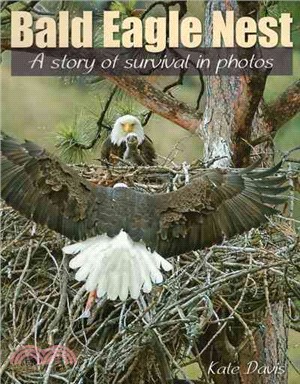 Bald Eagle Nest ─ A Story of Survival in Photos