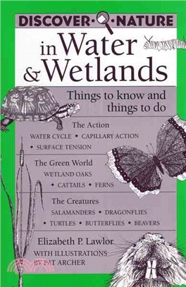 Discover Nature in Water & Wetlands—Things to Know and Things to Do