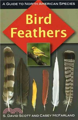 Bird Feathers ─ A Guide to North American Species