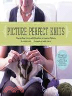 Picture Perfect Knits: Step-by-Step Intarsia With More Than 75 Inspiring Patterns