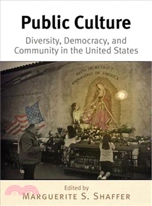 Public Culture—Diversity, Democracy, and Community in the United States